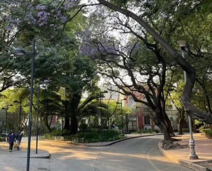 Este barrio de CDMX es el más hípster, brilla por su glamour y arquitectura única