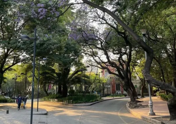 Este barrio de CDMX es el más hípster, brilla por su glamour y arquitectura única