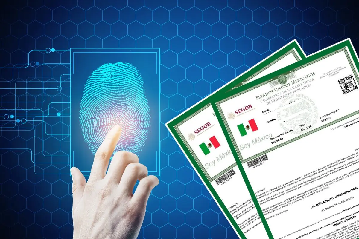 El CURP biométrico busca combatir el robo de identidad y facilitar trámites. Foto: CANVA / GOB MX
