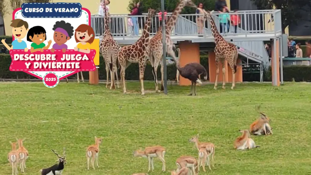 Estas vacaciones el zoológico de Zacango impartirá un curso de verano