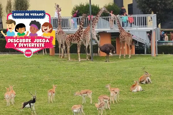 Estas vacaciones el zoológico de Zacango impartirá un curso de verano