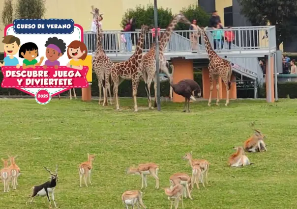 Estas vacaciones el zoológico de Zacango impartirá un curso de verano