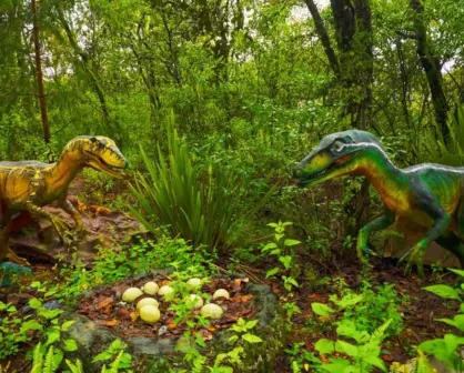 ¿Aventura jurásica en CDMX? En este lugar podrás pasar una tarde entre dinosaurios