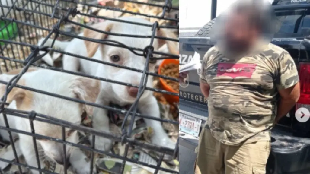 Hombre es detenido en Apodaca por venta ilegal de animales en mercado ambulante