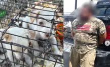 Hombre es detenido en Apodaca por venta ilegal de animales en mercado ambulante