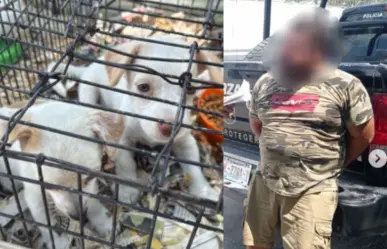 Hombre es detenido en Apodaca por venta ilegal de animales en mercado ambulante