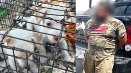 Hombre es detenido en Apodaca por venta ilegal de animales en mercado ambulante