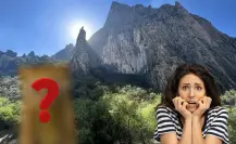 Este es el animal nativo de Nuevo León que se esconde como un fantasma en la sierra