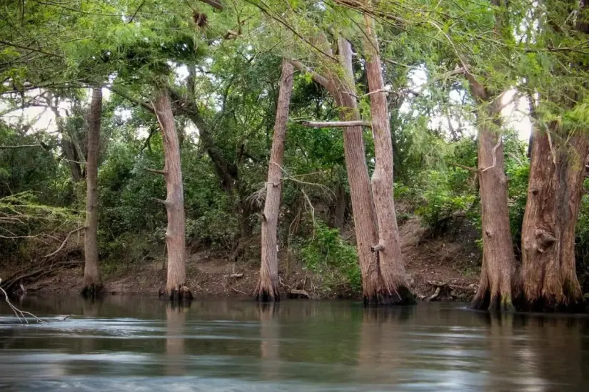 Río Purificación