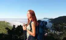 El bosque escondido de la Sierra La Laguna en BCS: ¿por qué es único en México?