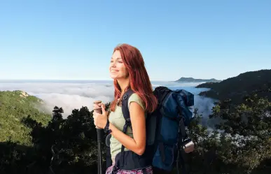 El bosque escondido de la Sierra La Laguna en BCS: ¿por qué es único en México?