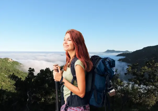 El bosque escondido de la Sierra La Laguna en BCS: ¿por qué es único en México?