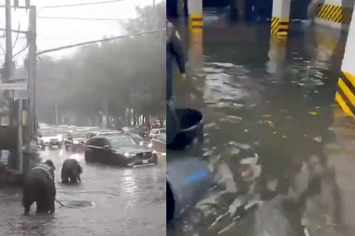 Inundaciones en distintos puntos de la Ciudad de México por las lluvias. Foto: X (@SSC_CDMX) | Canva
