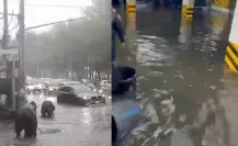 Lluvias en CDMX provoca inundaciones y encharcamientos; estas fueron las zonas más afectadas