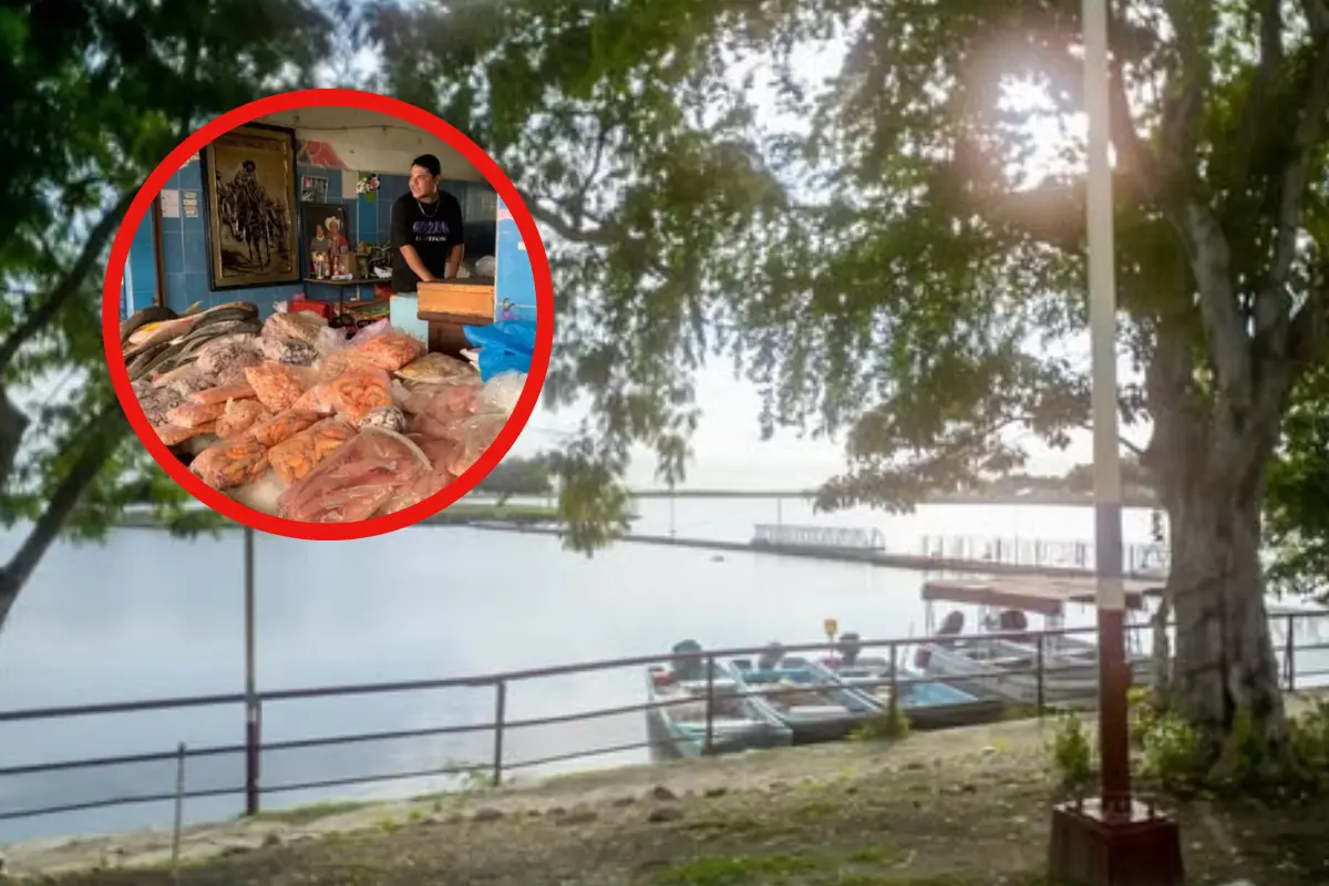 Conoce el mercadito de Altamira Tamaulipas ubicado frente a la laguna Champayán. Disfruta de mariscos frescos y una vista panorámica única