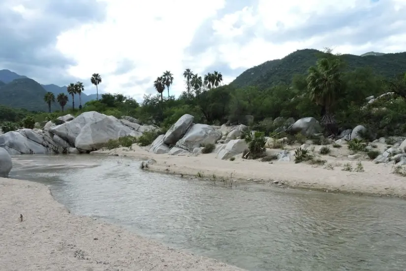 Es una de las zonas más importantes para la recarga de agua en el sur del estado. Foto: CONANP