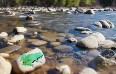 El animal nativo de Durango que destaca por su brillante color verde