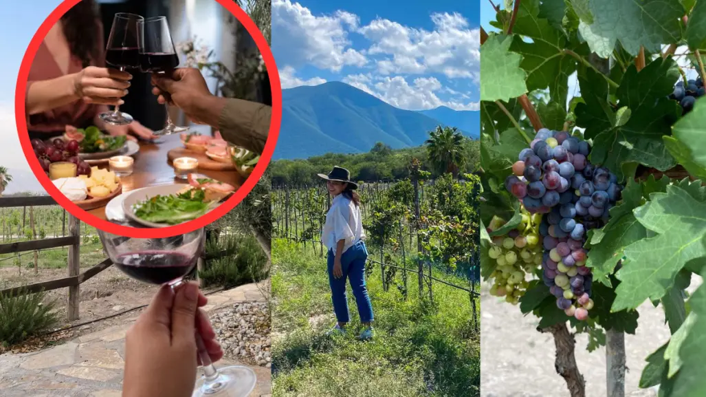 Este viñedo de Tamaulipas es ideal para una cita romántica