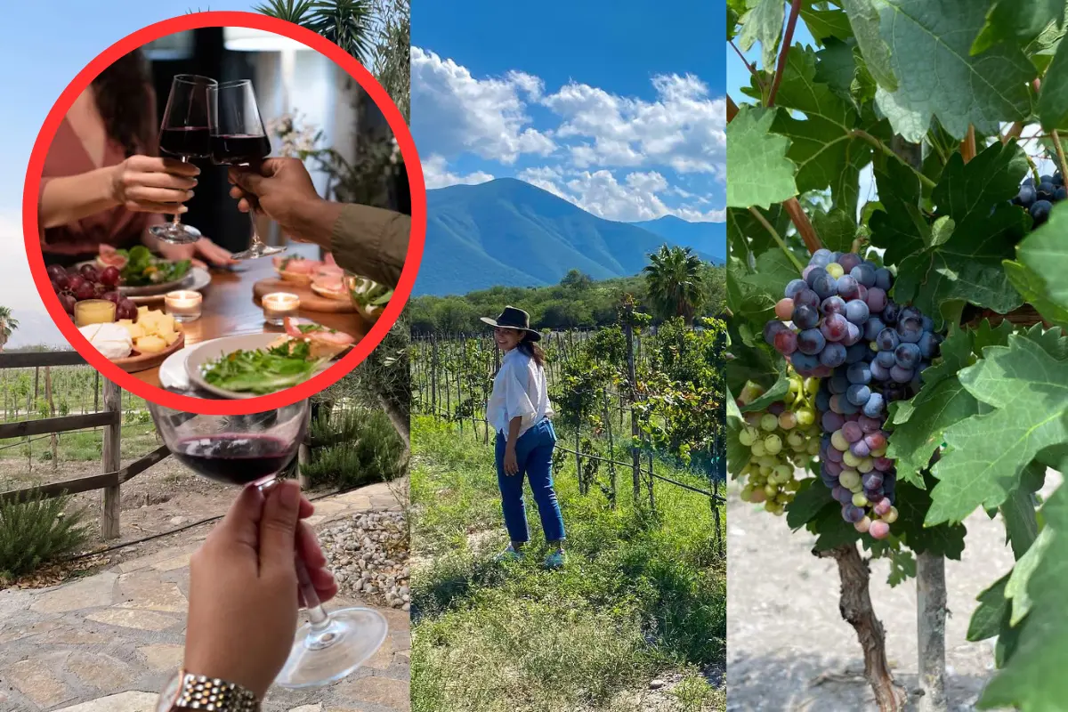 Explora el viñedo Monterredondo en Tamaulipas y disfruta de una experiencia romántica en un entorno único con vino y gastronomía
