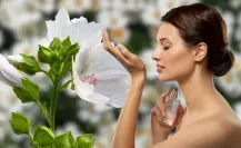 3 perfumes con almizcle si te gustan los aromas suaves y limpios