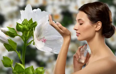 3 perfumes con almizcle si te gustan los aromas suaves y limpios