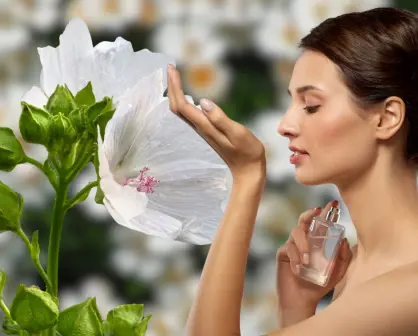 3 perfumes con almizcle si te gustan los aromas suaves y limpios