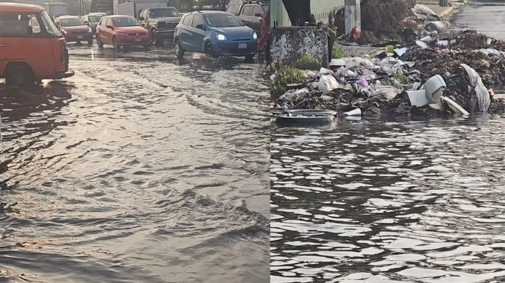 Encharcamientos en Iztapalapa: basura colapsa drenaje y afecta la Central de Abasto de CDMX