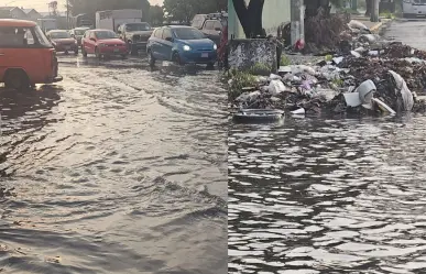Encharcamientos en Iztapalapa: basura colapsa drenaje y afecta la Central de Abasto de CDMX