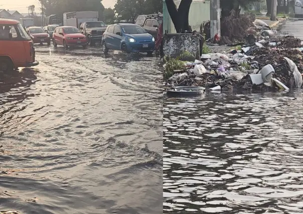 Encharcamientos en Iztapalapa: basura colapsa drenaje y afecta la Central de Abasto de CDMX