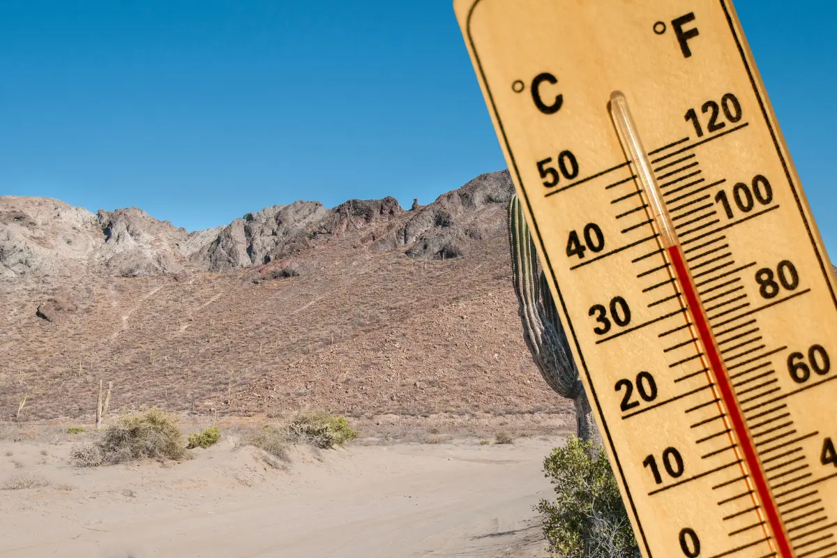 ¡Calorón! Las temperaturas, según la Conagua, hoy pueden llegar a los 40°C. Fotos: Canva.