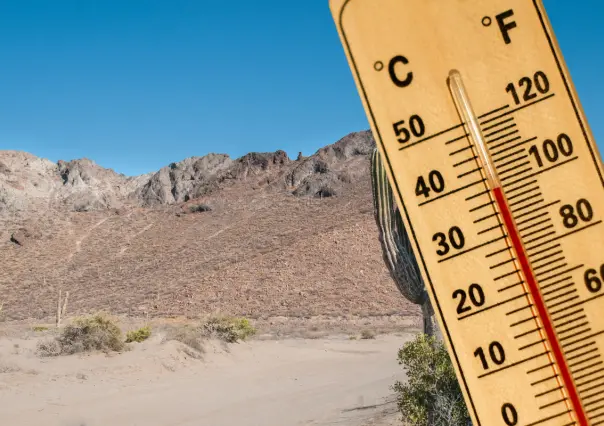 Hasta 40°C para hoy lunes 14 de julio: este es el pronóstico del clima en BCS
