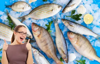Pescado fresco y barato en CDMX: descubre dónde comprarlo a buen precio según Profeco