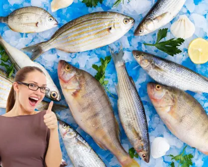 Pescado fresco y barato en CDMX: descubre dónde comprarlo a buen precio según Profeco