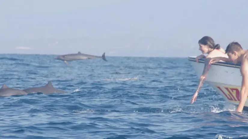 Foto: puerto-escondido.mx
