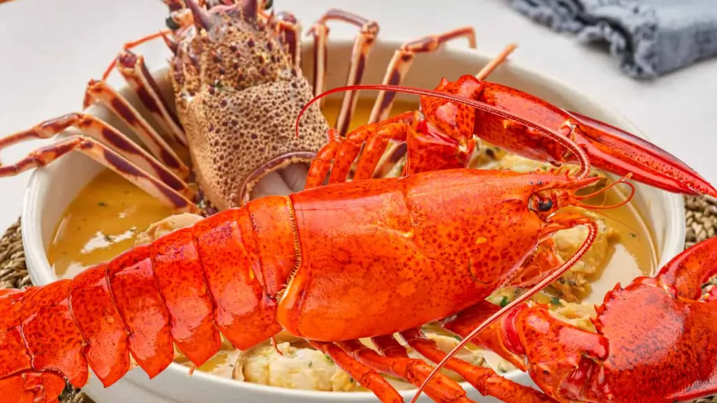3 platillos yucatecos con langosta para disfrutar este verano