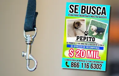 Ofrecen 20 mil pesos por hallar a Pepito,  perrito perdido en Monclova 