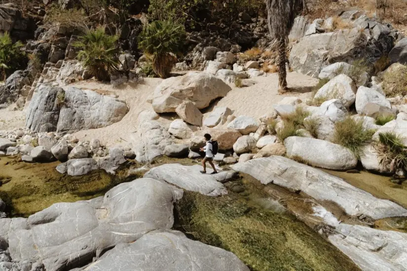 Foto: Visita Los Cabos