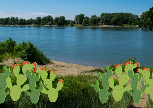 El famoso río de Durango que recibió su nombre por la abundante planta nativa que crece junto a el