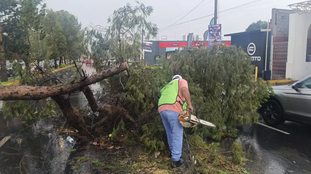 ¿Qué daños ocasionaron las lluvias en Saltillo?