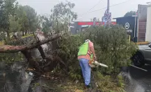 ¿Qué daños ocasionaron las lluvias en Saltillo?