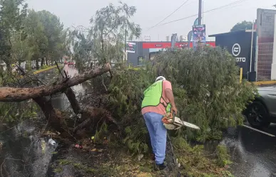 ¿Qué daños ocasionaron las lluvias en Saltillo?