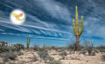El municipio de Durango que da nombre a una de las 44 reservas de la biósfera de México