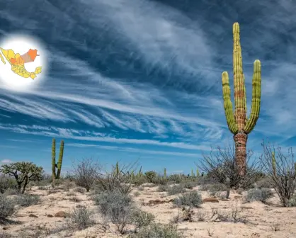 El municipio de Durango que da nombre a una de las 44 reservas de la biósfera de México