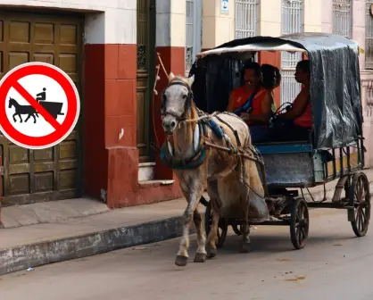 La razón por la que los caballos no pueden ni deben cargar carretas con escombro en Durango