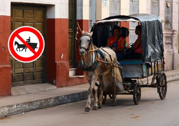 La razón por la que los caballos no pueden ni deben cargar carretas con escombro en Durango