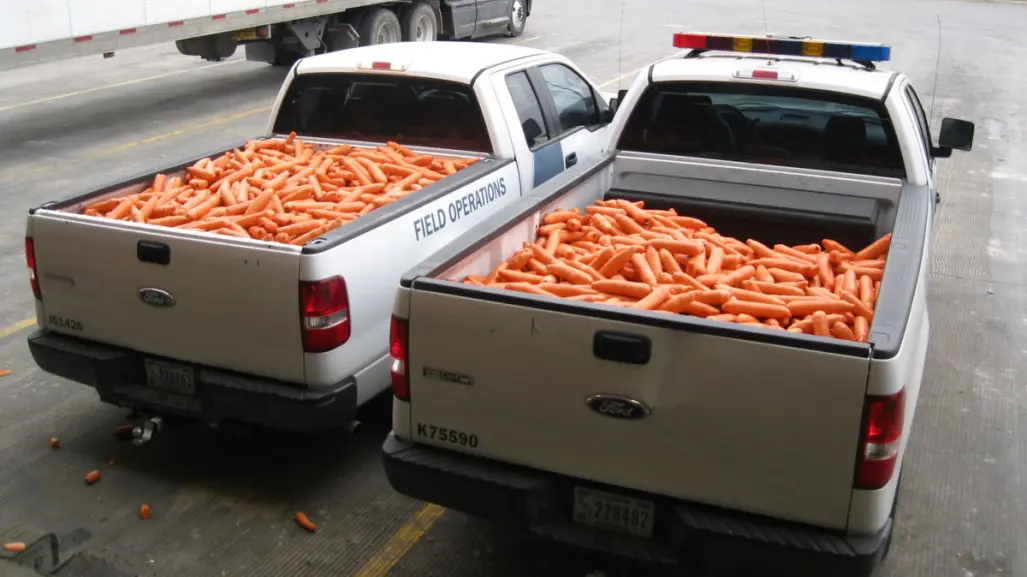 Aseguran metanfetamina oculta en trailer con zanahorias en el Puente Reynosa-Hidalgo