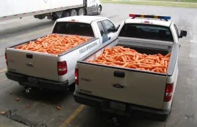 Aseguran metanfetamina oculta en trailer con zanahorias en el Puente Reynosa-Hidalgo