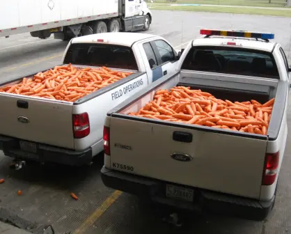 Aseguran metanfetamina oculta en trailer con zanahorias en el Puente Reynosa-Hidalgo