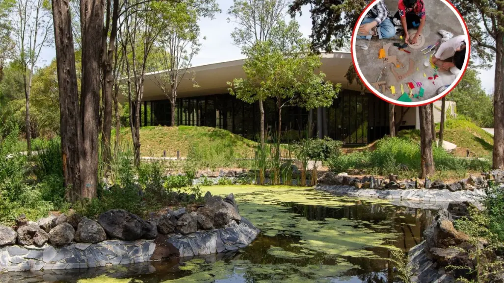 Exploradores del Bosque: talleres y excursiones gratis en Chapultepec para niños y adolescentes