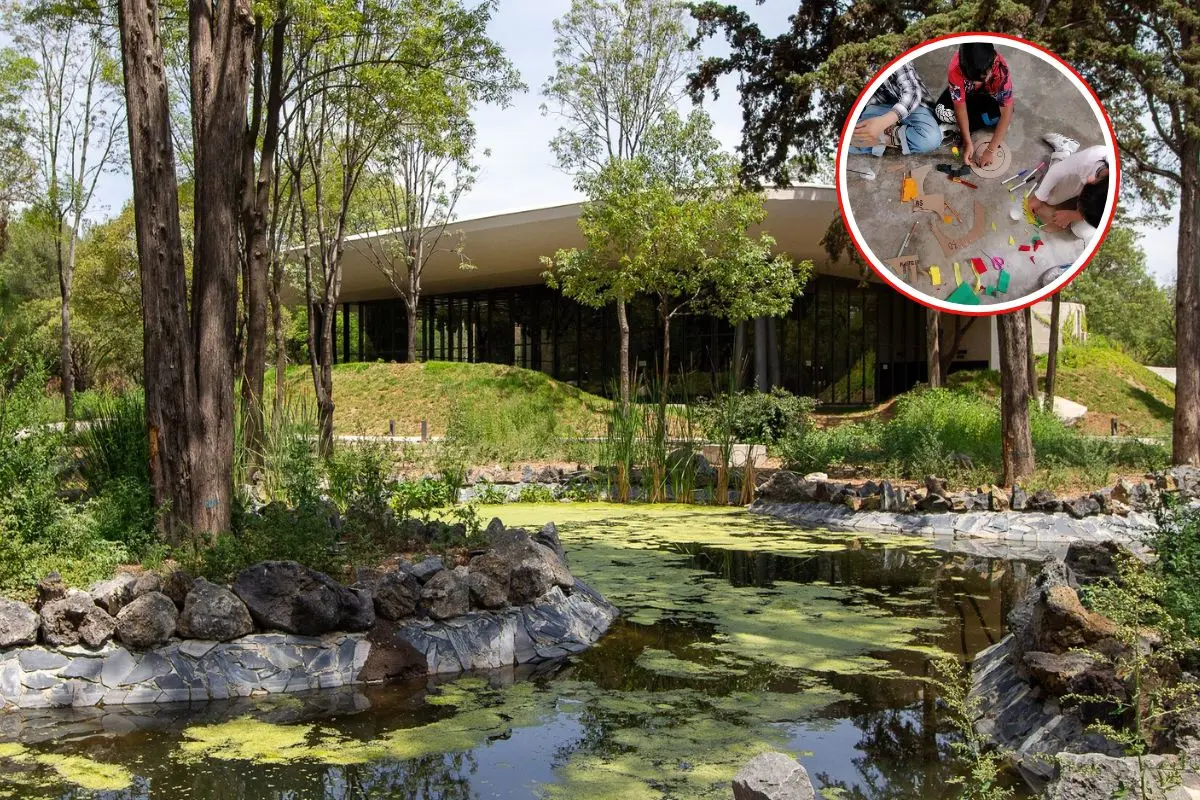 Bosque de Chapultepec, niños realizando actividades. Foto: Facebook (Bosque de Chapultepec) | Facebook (Alma y Raíces MX) | Canva